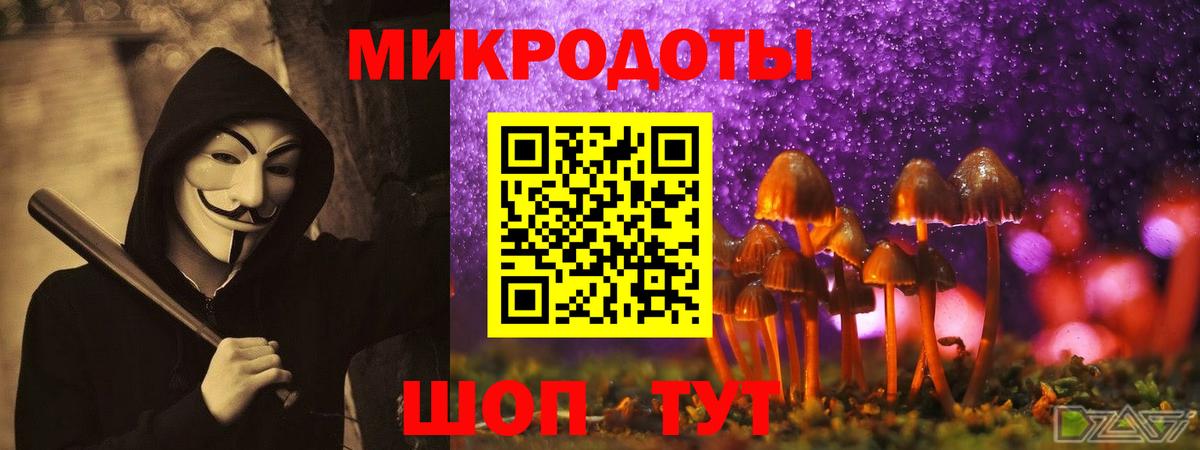 Химки  Псилоцибиновые грибы прущие грибы  Вход с VPN 