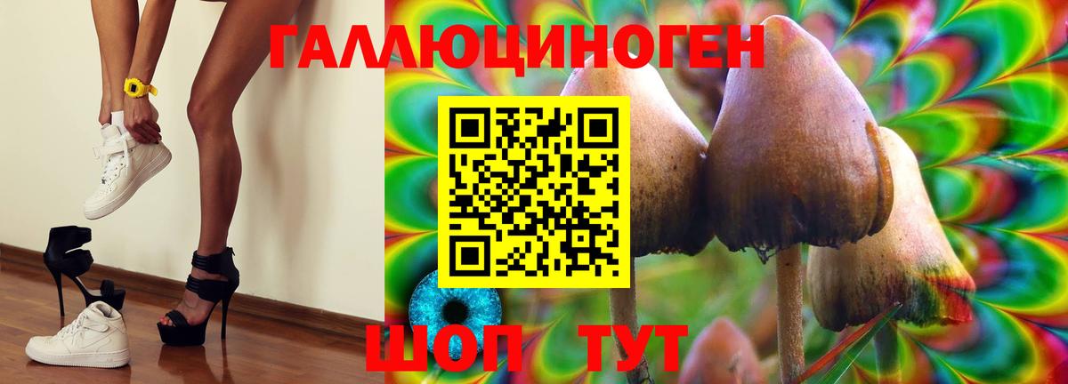 Бошки Шишки  Химки  Меф МЯУ МЯУ кристаллы  Гашиш  Вход с VPN  Кокаин 