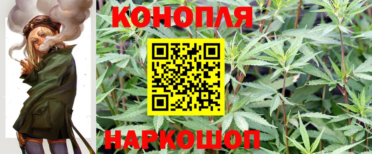 Конопля планчик Химки